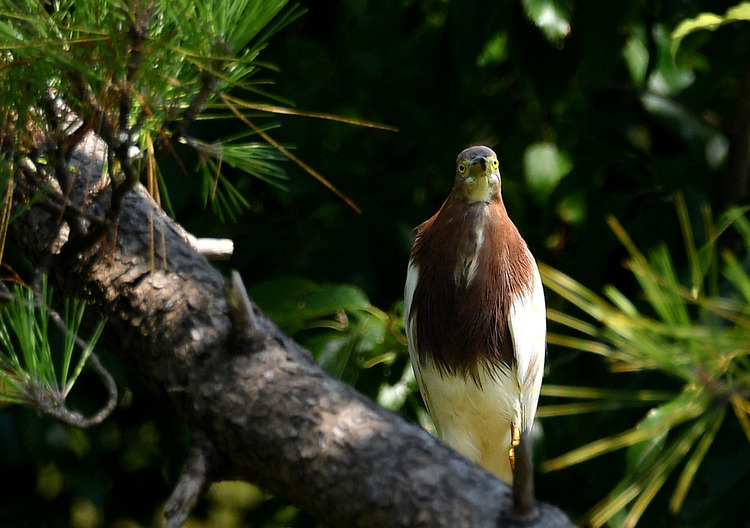 D5003_077816