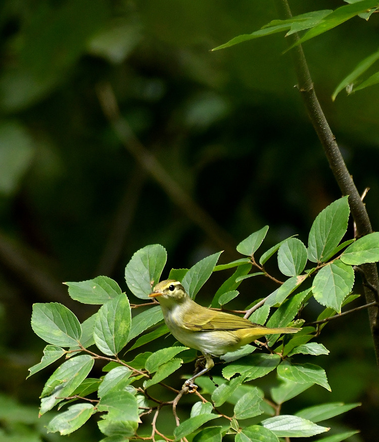 D5003_082834