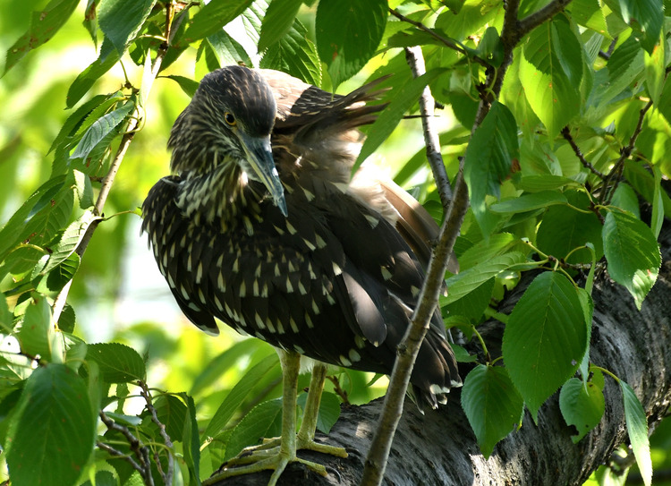 D5003_077157