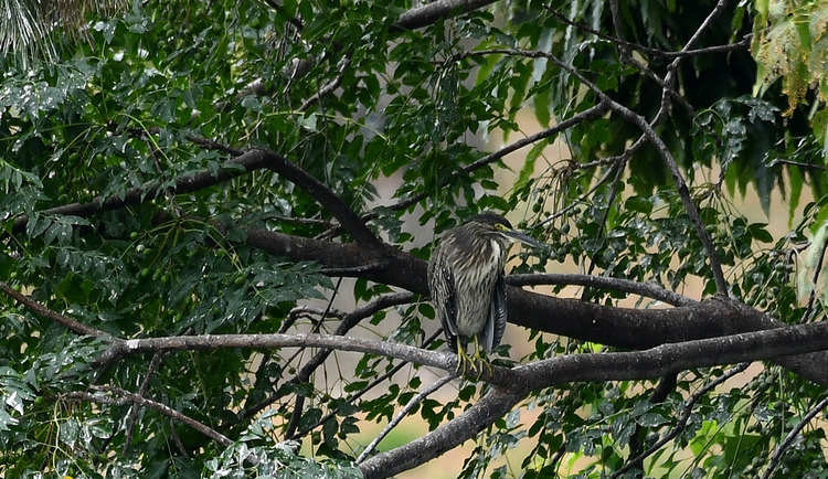 D5003_085444