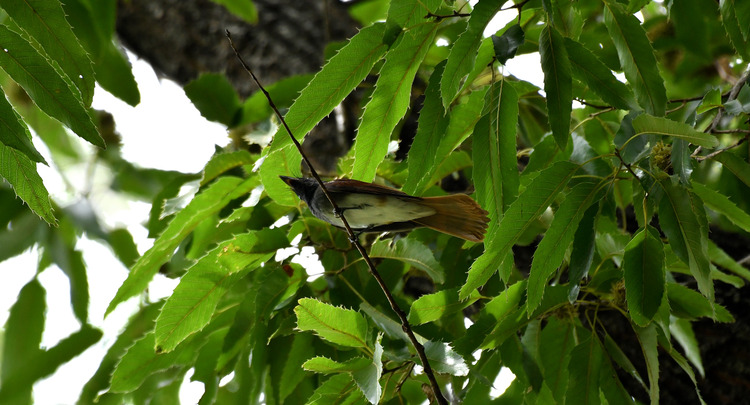 D5003_085535