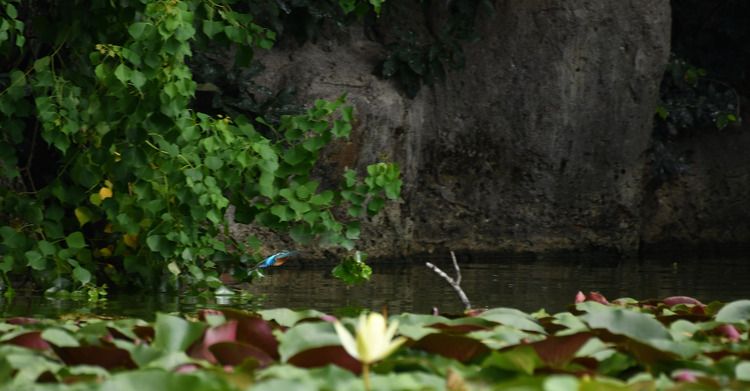 D5003_081468