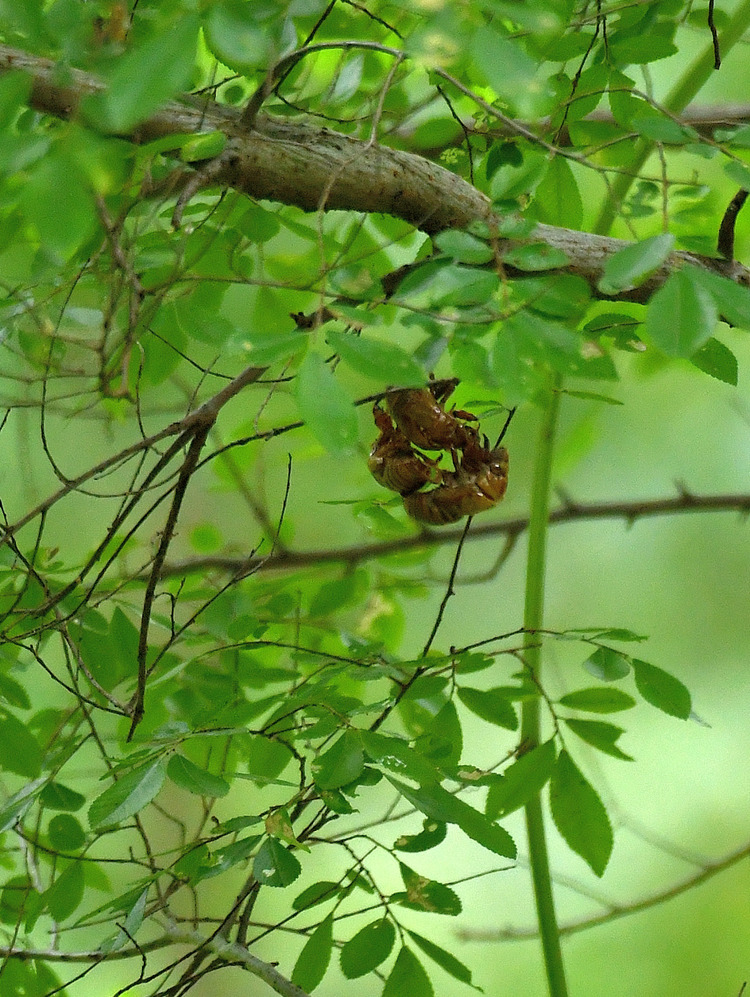 D5003_080039_01