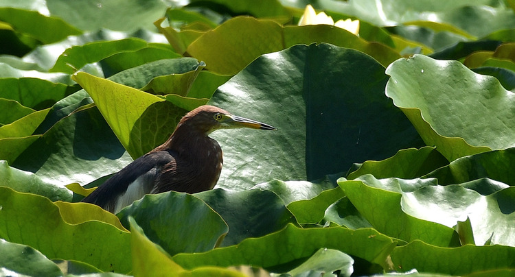 D5003_077518