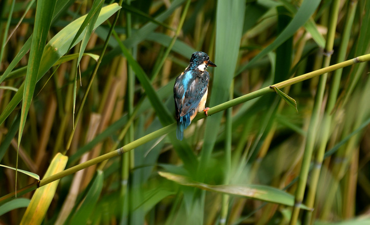 D5003_083745