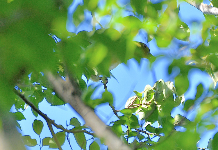 D5003_109728