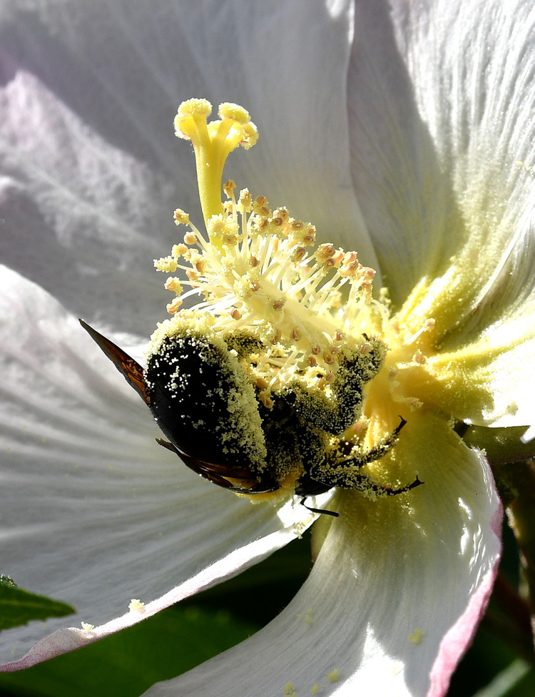 D5003_110833
