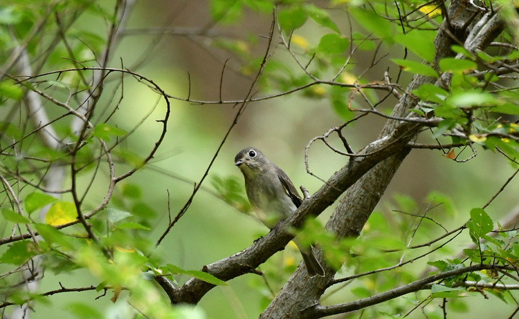 D5003_082805