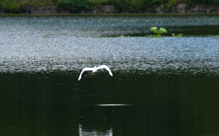 D5003_083250