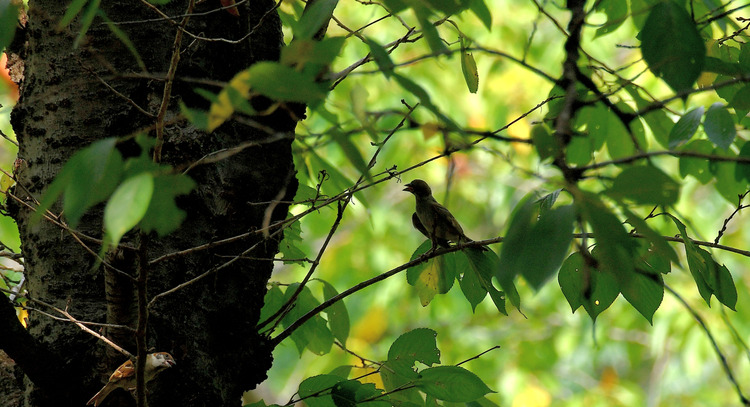 D5003_079934_01