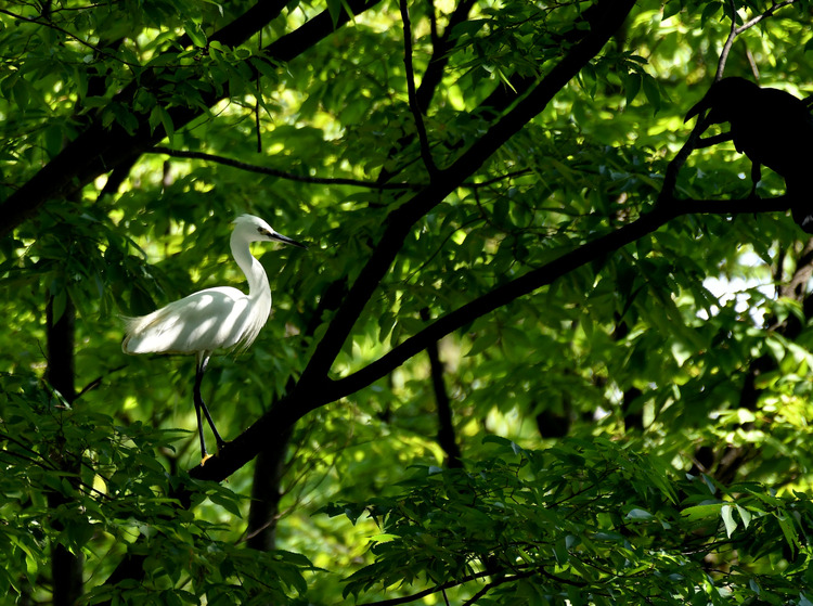 D5003_076975