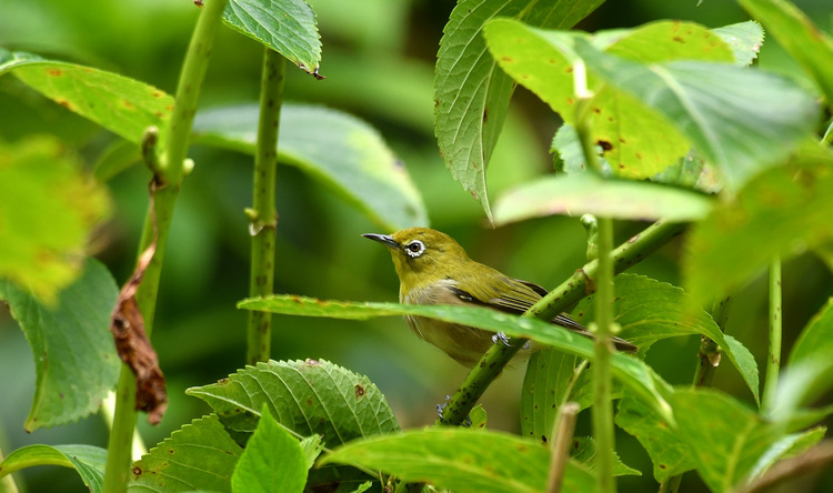 D5003_080556
