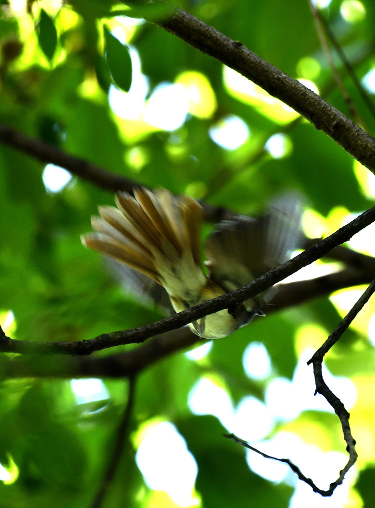 D5003_079193
