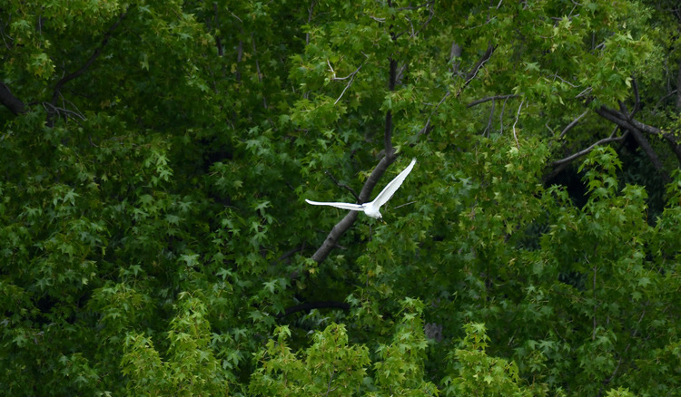 D5003_086584