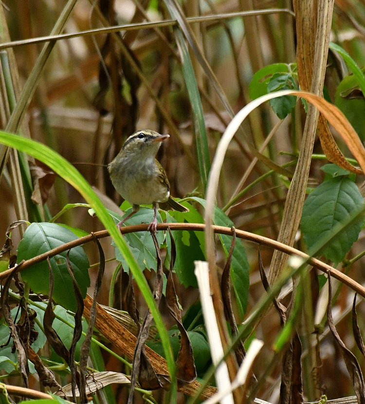 D5003_083556