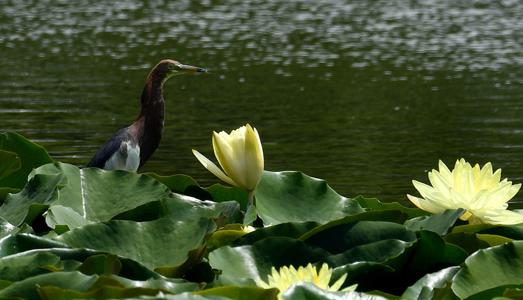 D5003_077279_01