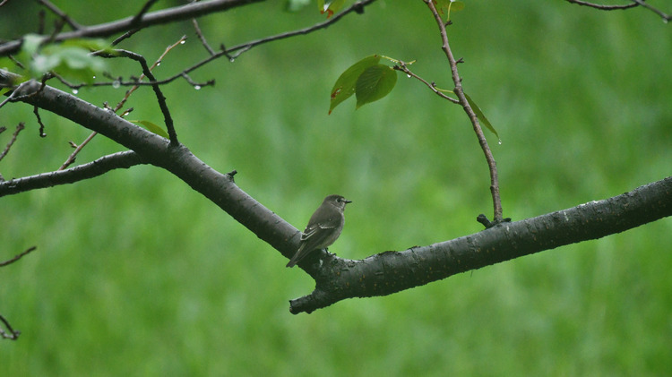 D5003_107138