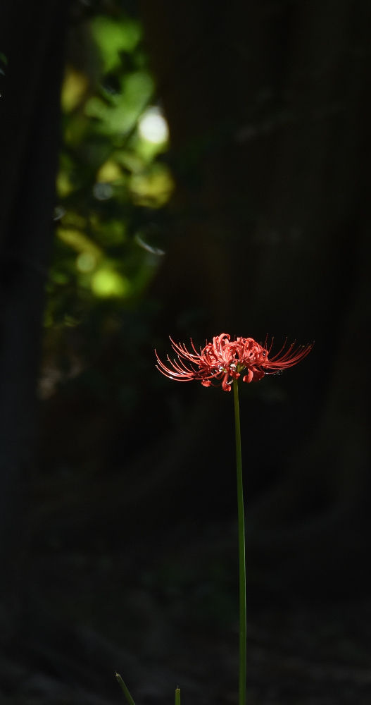 D7.2K3_084044