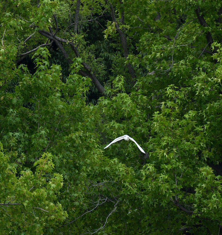 D5003_086569
