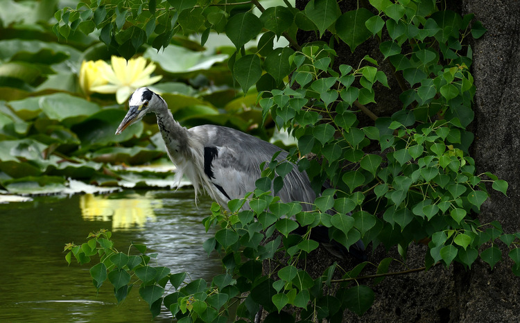 D5003_079392