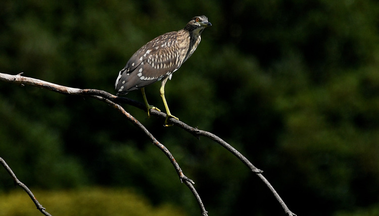 D5003_075137