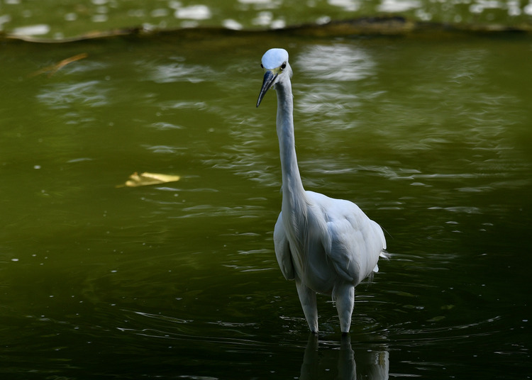 D5003_082346