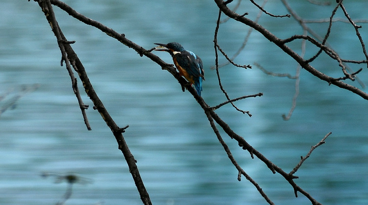 D5003_085414