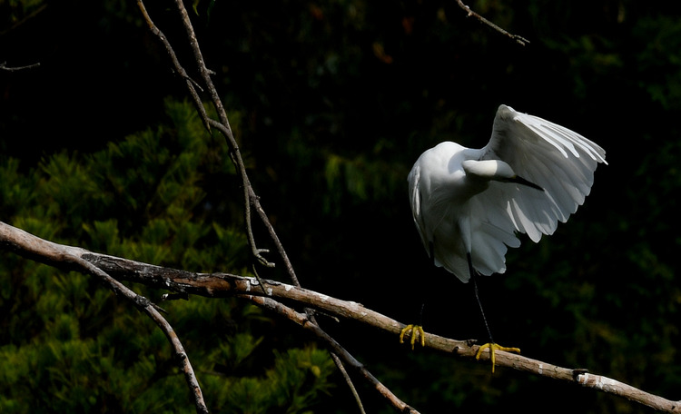 D5003_080087