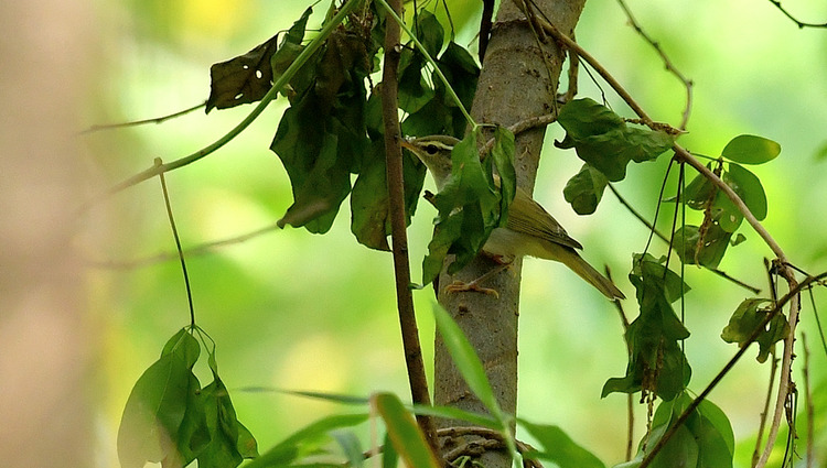 D5003_080303