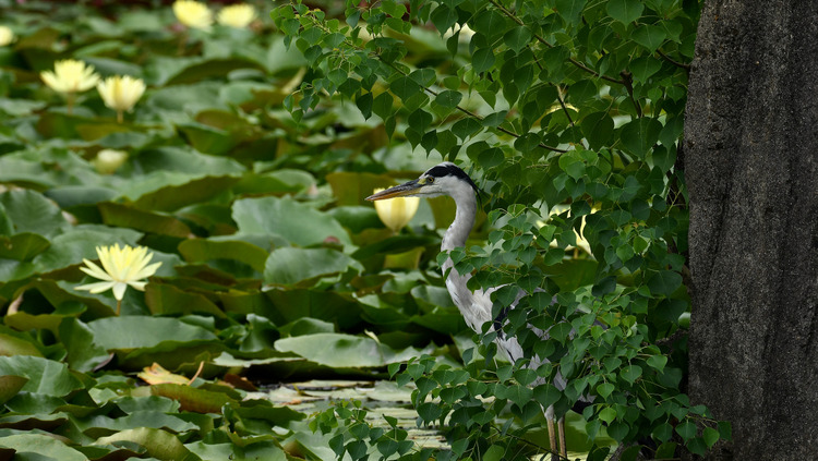 D5003_079389