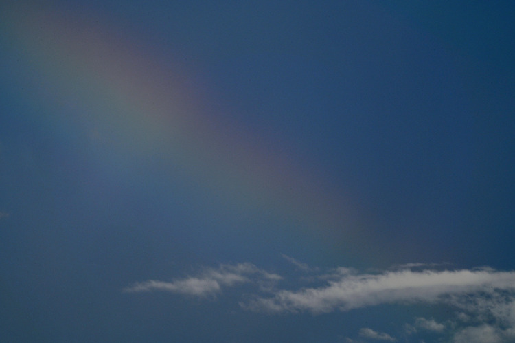 Z6ii1_108141
