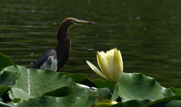 D5003_077288