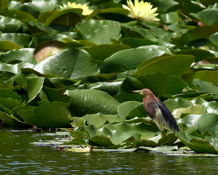 D5003_079005