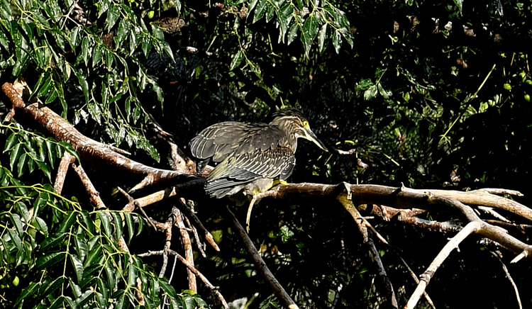 D5003_085948