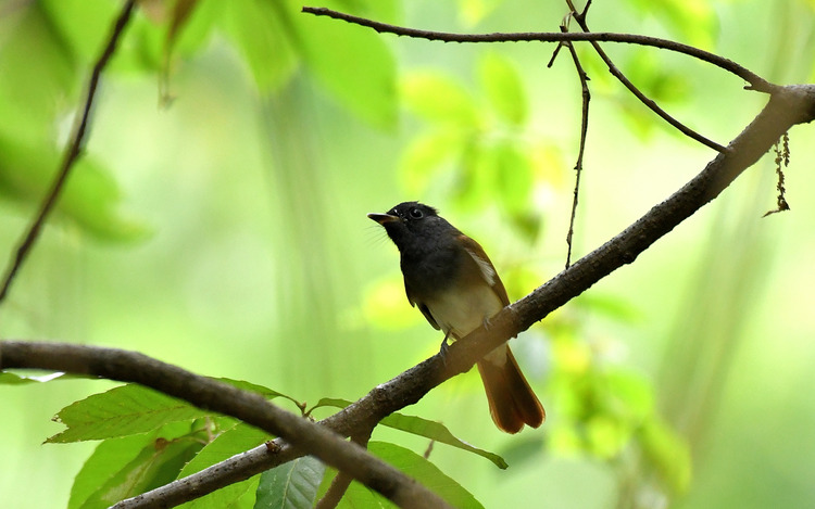 D5003_080451