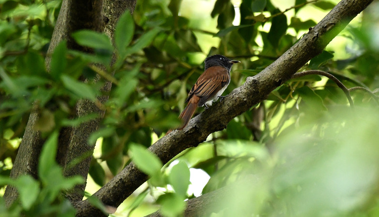 D5003_079676