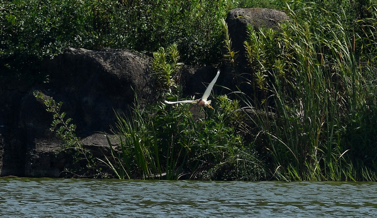 D5003_077692