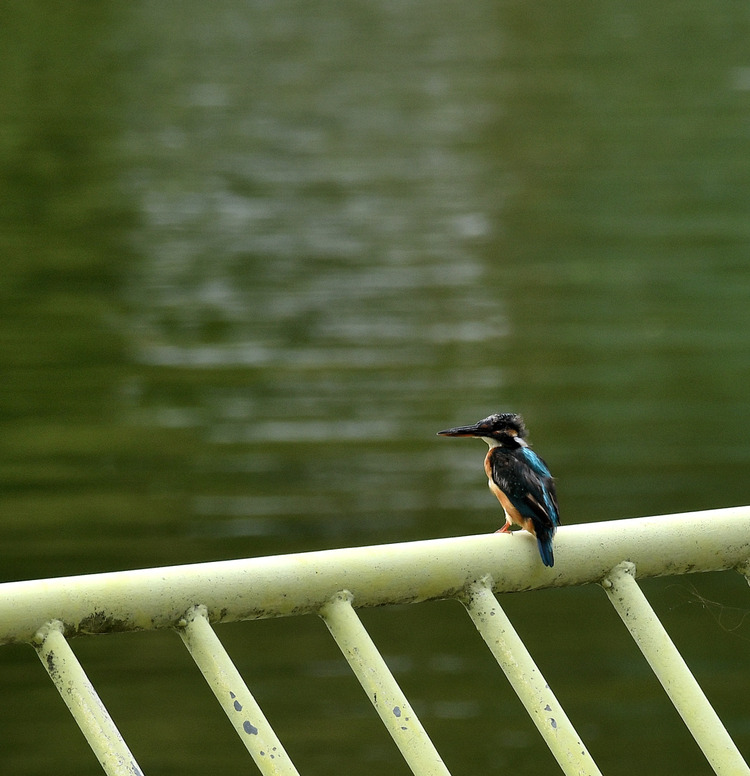 D5003_080672