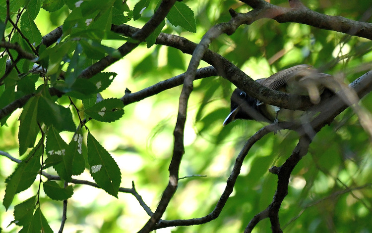 D5003_082050