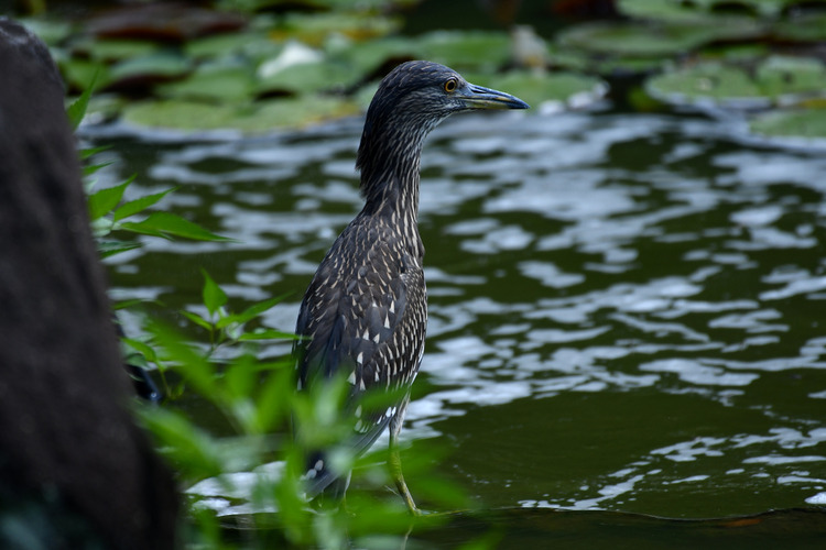 D5003_074808