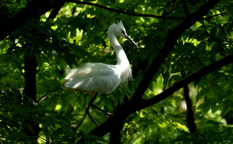 D5003_076968
