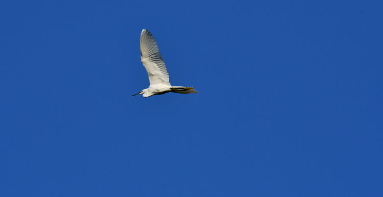D5003_114766a