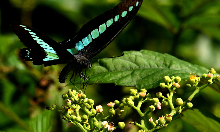 D5003_085737
