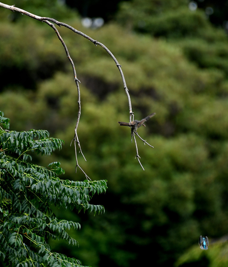 D5003_079809