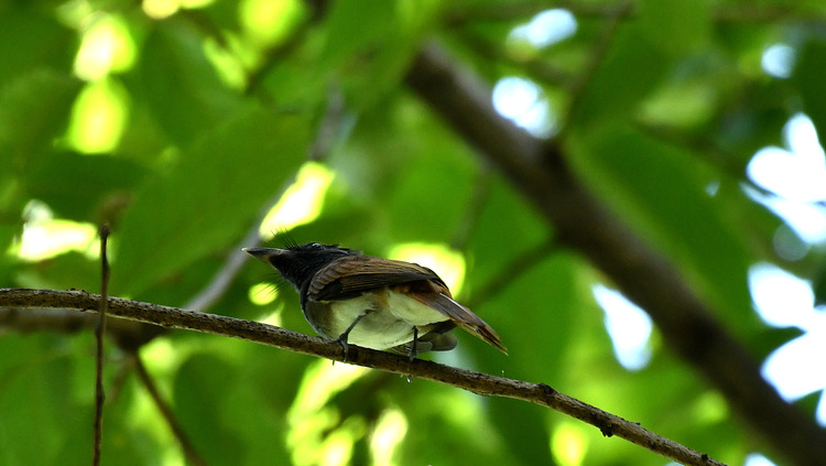 D5003_079197