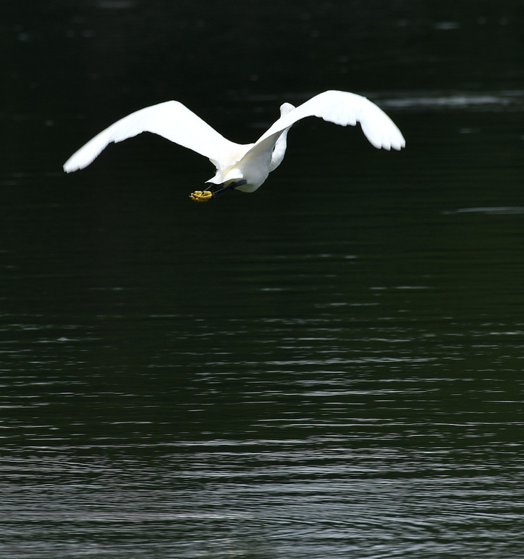 D5003_083236