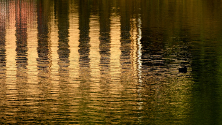 D5003_111332