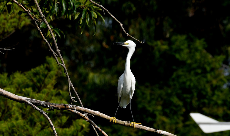 D5003_080080