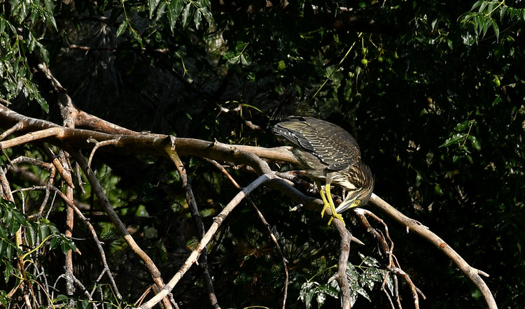 D5003_086030