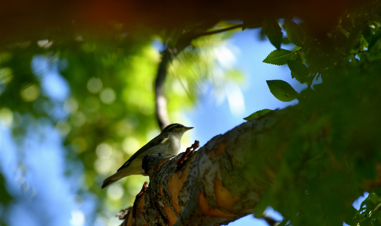 D5003_110337